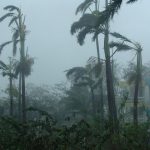 Hurricane Tips