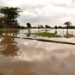 Flood Insurance